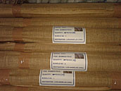 BUNDLES WITH LABELING