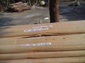 FISHING TACKLE 18 TO 20 FT FOR SHIPMENT
