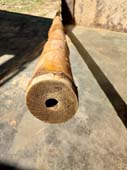 CALCUTTA CANE